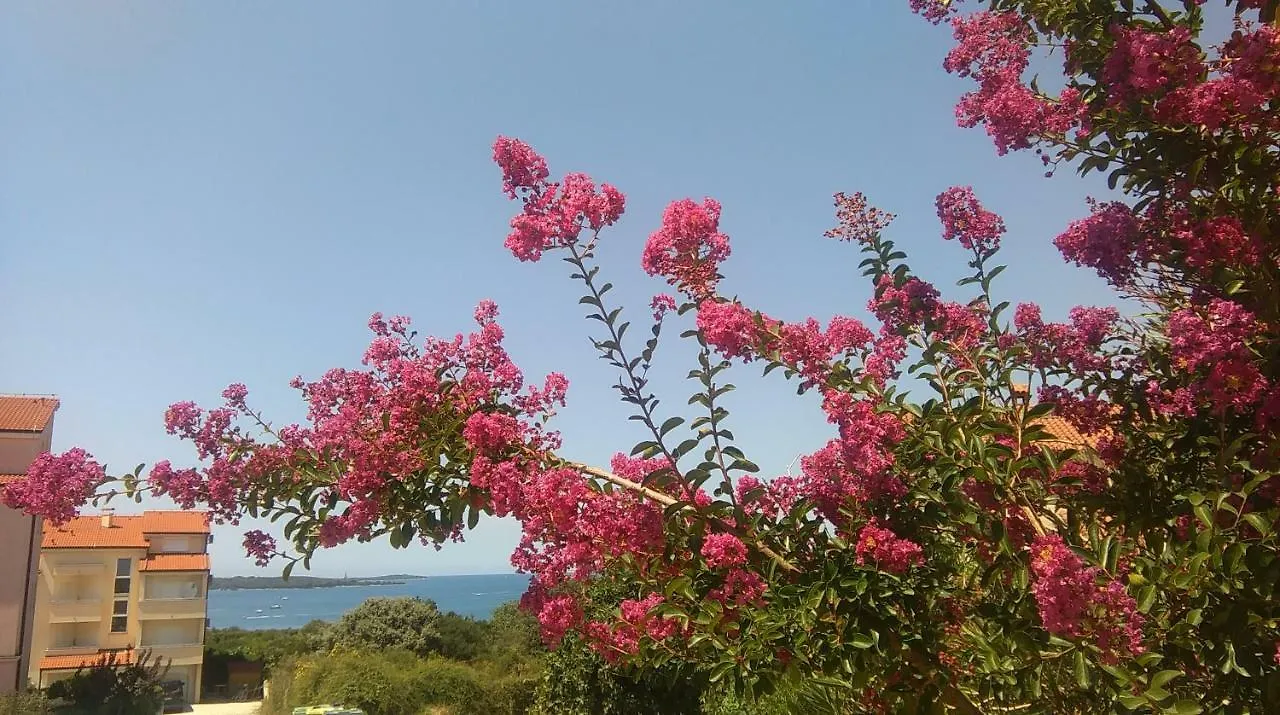 Guesthouse Adria Croatia