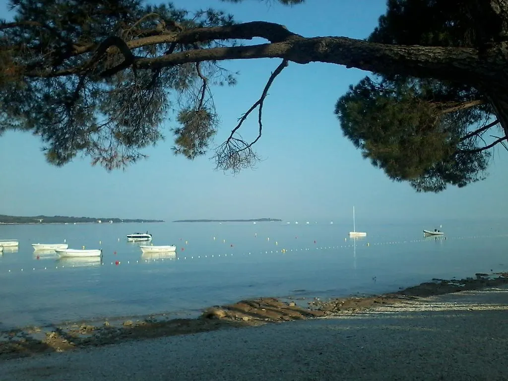 Guesthouse Adria Pula 3*,
